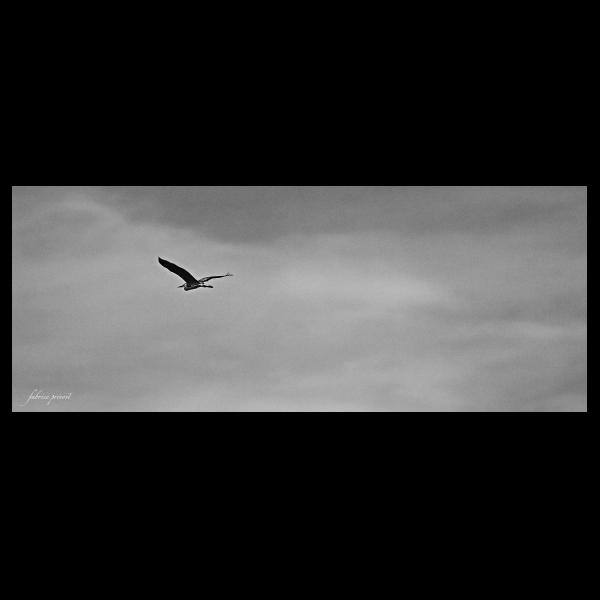 PHOTO84, CLUB, 84 , LUBERON